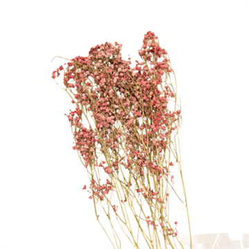 Brudeslør tørret 50 g pink 50 cm